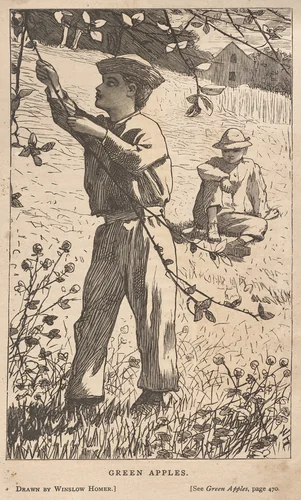 Green Apples by Winslow Homer, print, 1868