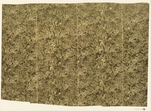 Blad met onregelmatige structuur van veschillende vormen by anonymous, other, 1750-1820