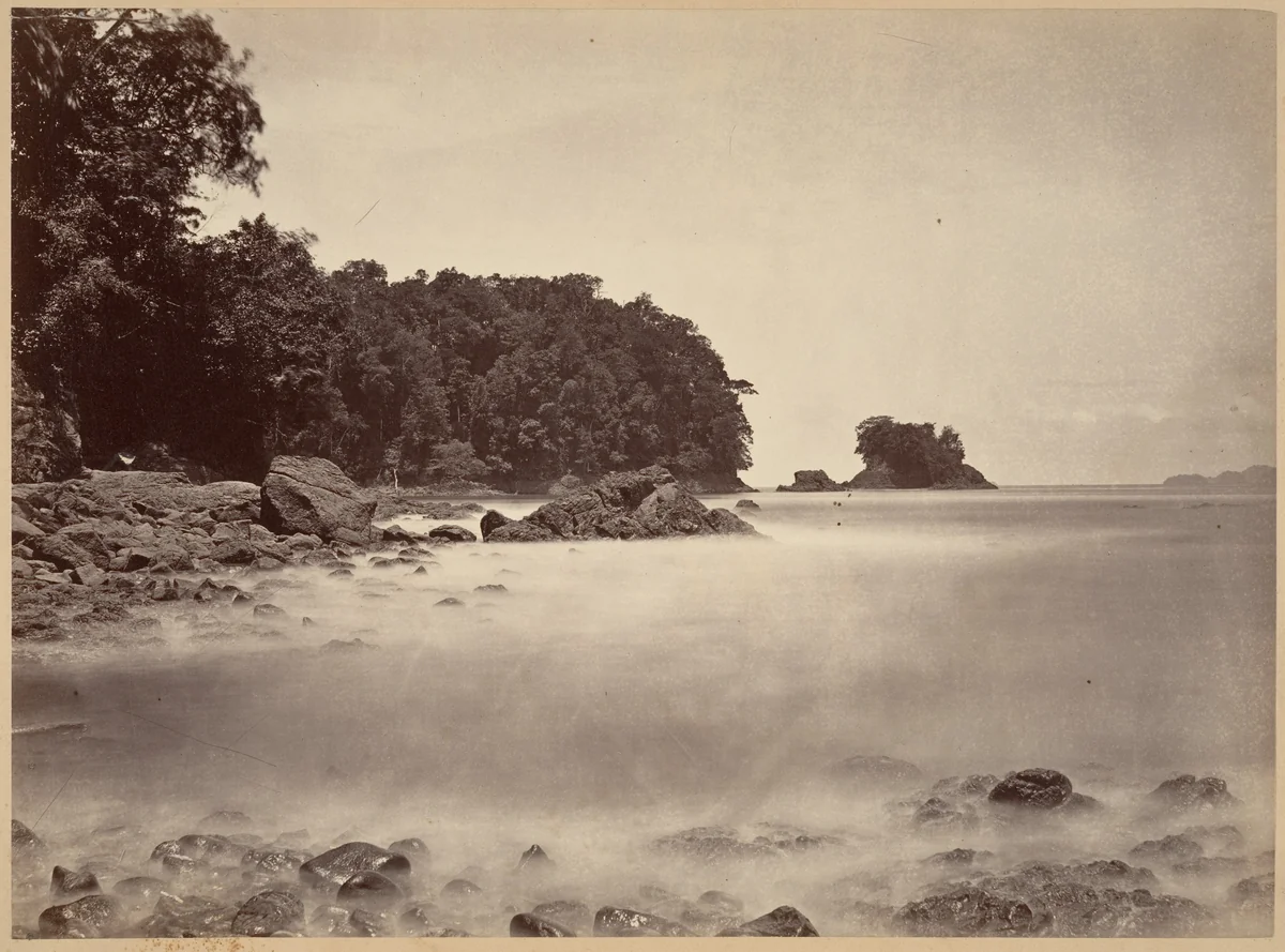 Tropical Scenery, View of Limon Bay by John Moran, photograph, 1871