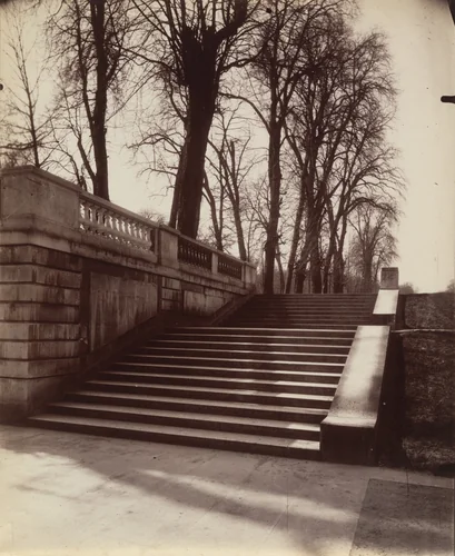 Saint-Cloud by Eugène Atget, photograph, 1907