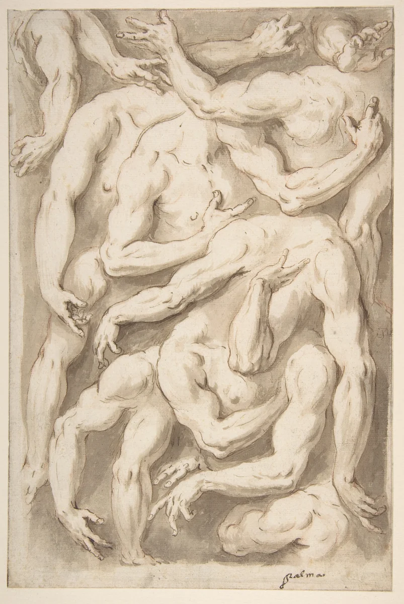 Studies of Arms, Shoulders and Hands by Giacomo Franco, drawing, 1548-1628