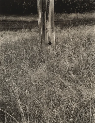 Grass and Flagpole by Alfred Stieglitz, photograph, 1933