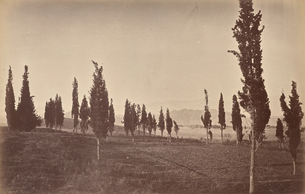 Birds Eye View of Jellalabad, from the Springs by John Burke, photograph, 1878-1880