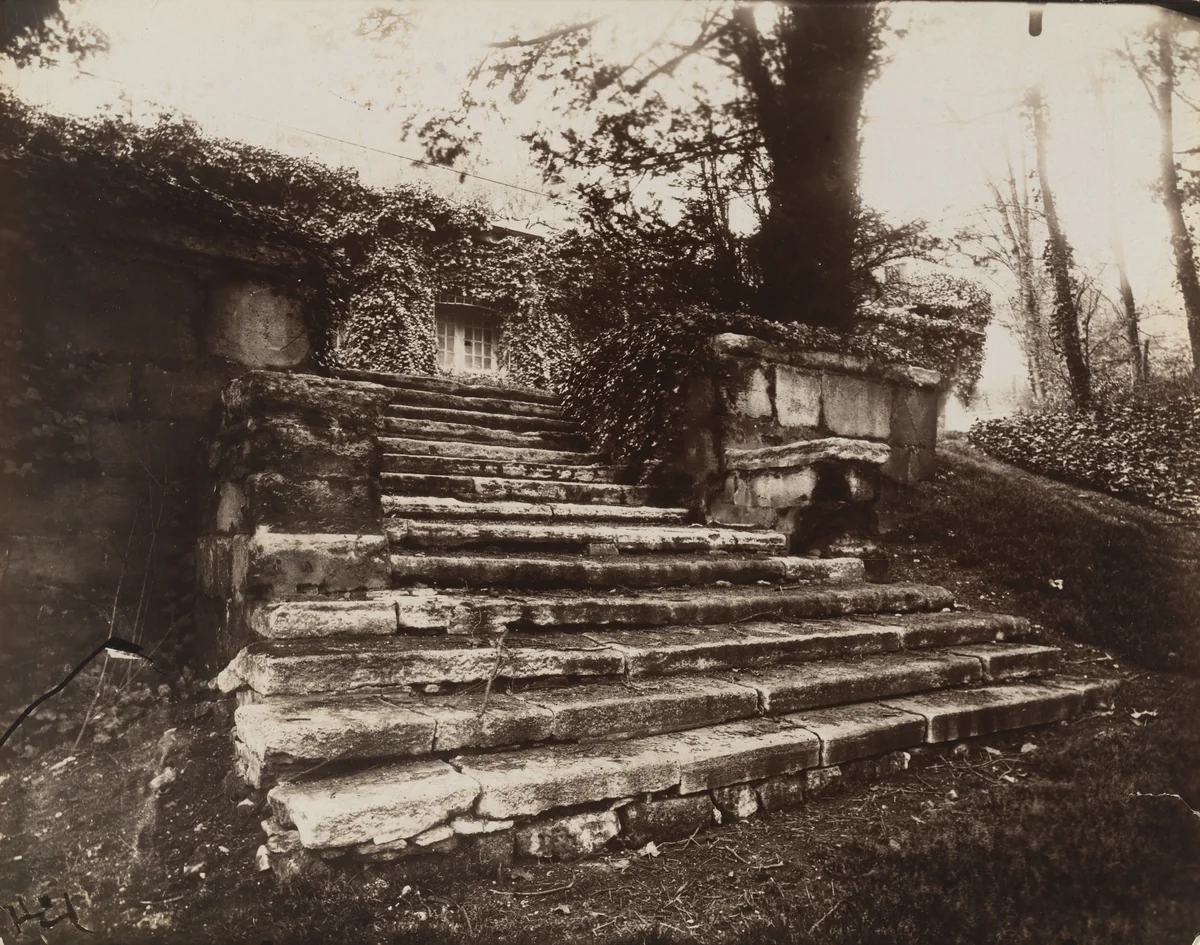 Parc Delessert by Eugène Atget, photograph, 1914