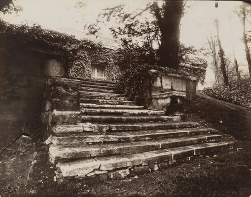 Parc Delessert by Eugène Atget, photograph, 1914