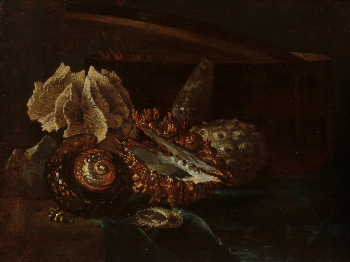Still Life with Shells and Coral by Willem Kalf, painting, 1690