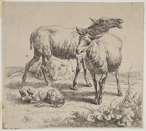 Three Sheep and a Lamb by Nicolaes Pietersz Berchem, print, 1590-1690
