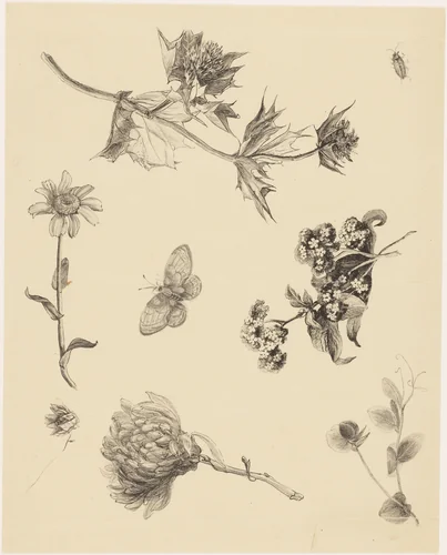 Flowers and Leaves by Theo van Hoytema, print, 1878-1917