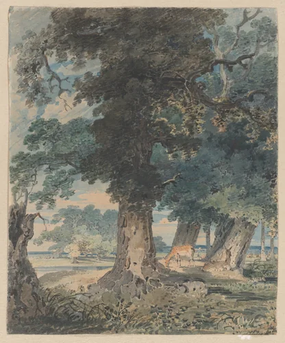 Deer in Windsor Forest by Thomas Girtin, drawing, 1793-1794