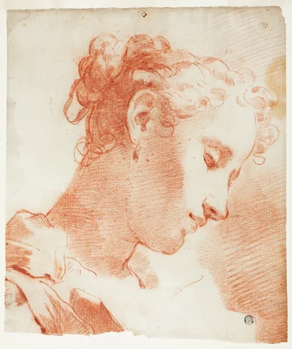 Female Head by Gaetano Gandolfi
Matteo Bonecchi
Raffaello Schiaminossi, drawing, 1592-1802