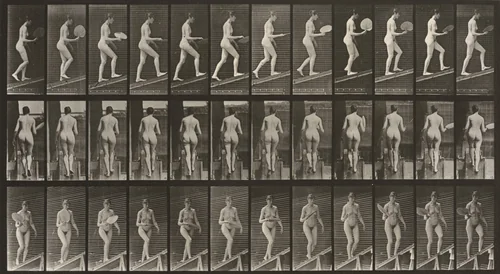 Plate Number 78. Ascending an incline and flirting a fan by Eadweard Muybridge, photograph, 1887