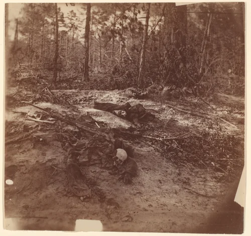 [The Wilderness Battlefield] by G. O. Brown, photograph, 1866