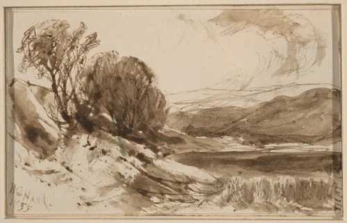 Hilly Landscape with Trees by William Hart, drawing, 1855