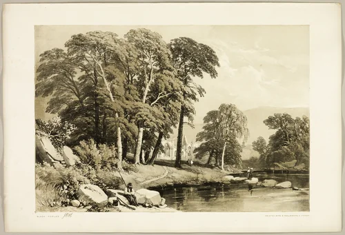 Black Poplar, from The Park and the Forest by James Duffield Harding, print, 1841