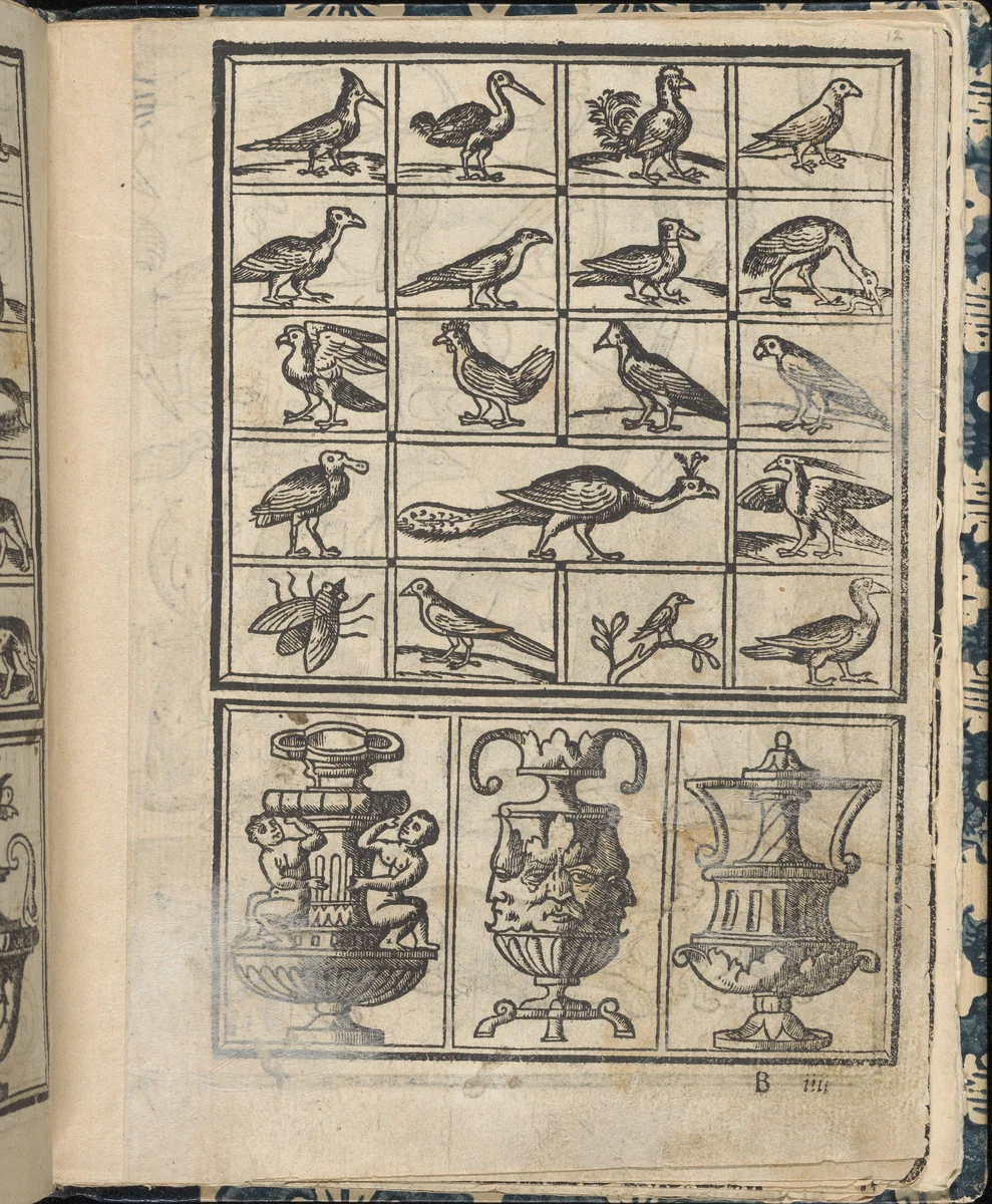 Essempio di recammi, page 12 (recto) by Giovanni Antonio Tagliente, book, 1530