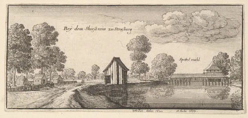 Strasbourg by Wenceslaus Hollar, print, 1665