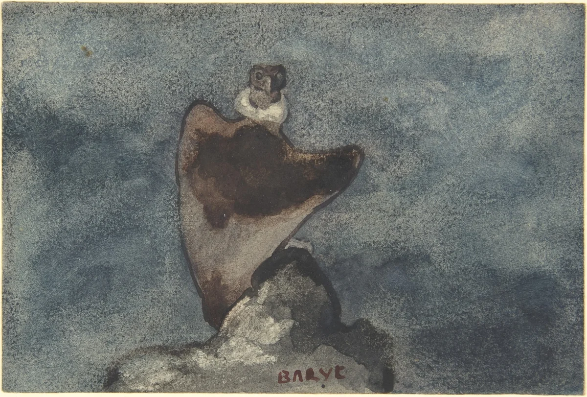 Vulture by Antoine-Louis Barye, drawing, 1810-1875