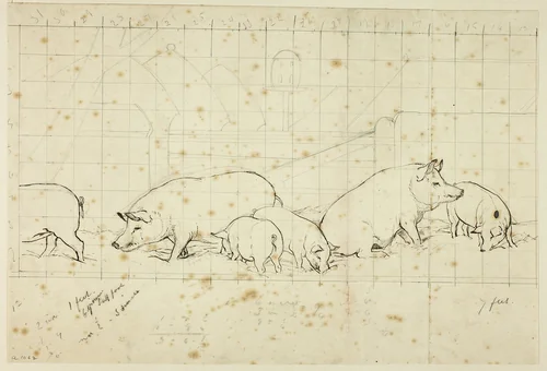 Pigs by Henry Stacy Marks, drawing, 1849-1898