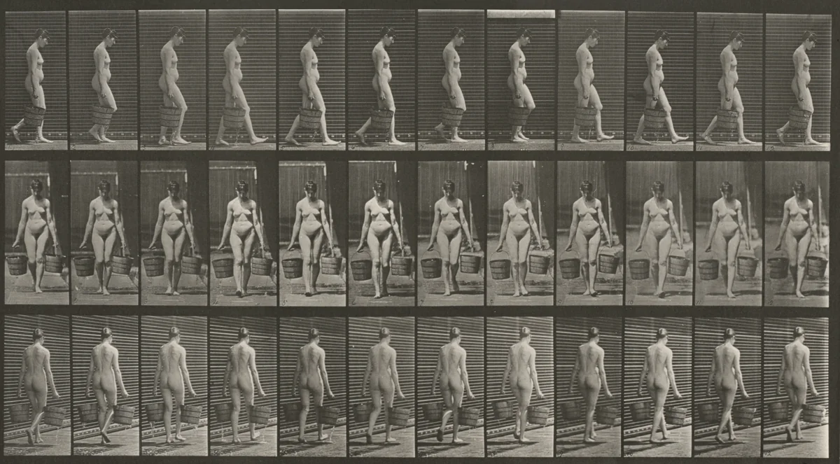 Plate Number 32. Walking and carrying a bucket of water in each hand by Eadweard Muybridge, photograph, 1887