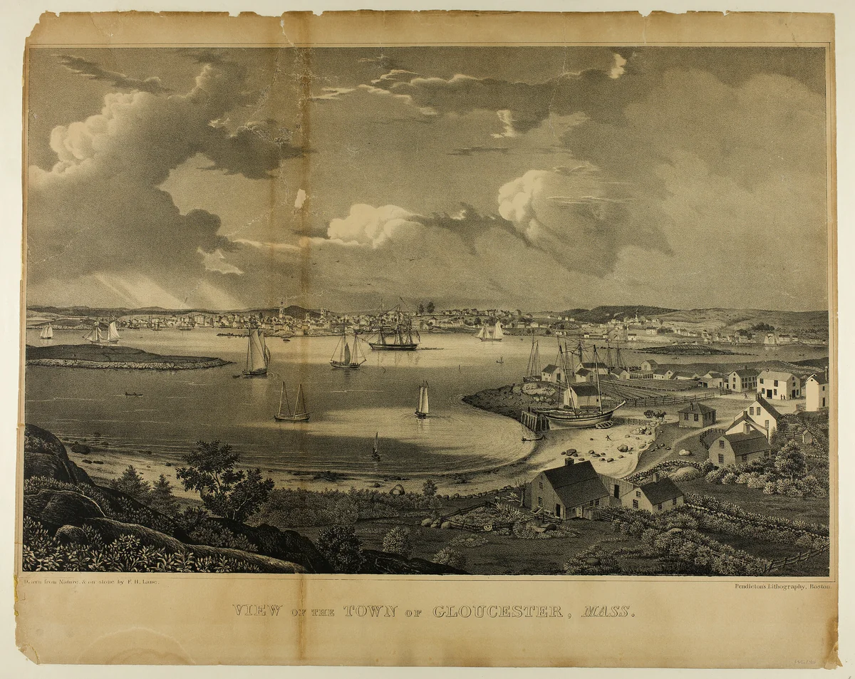 View of the Town of Gloucester, Massachusetts by Fitz Hugh Lane, print, 1831-1841