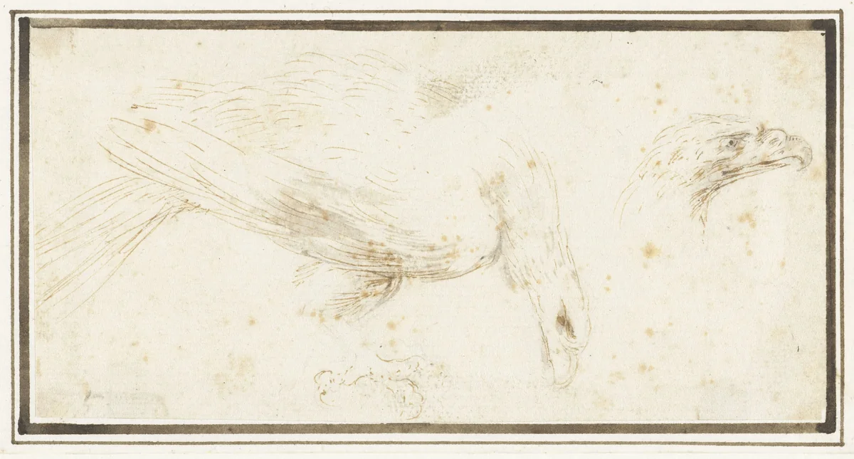 Adelaar, naar rechts by Stefano della Bella, drawing, 1646-1656