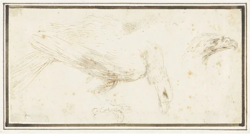 Adelaar, naar rechts by Stefano della Bella, drawing, 1646-1656