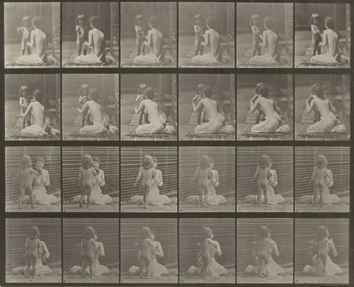 Plate Number 466. Child bringing a bouqet to a woman by Eadweard Muybridge, photograph, 1887