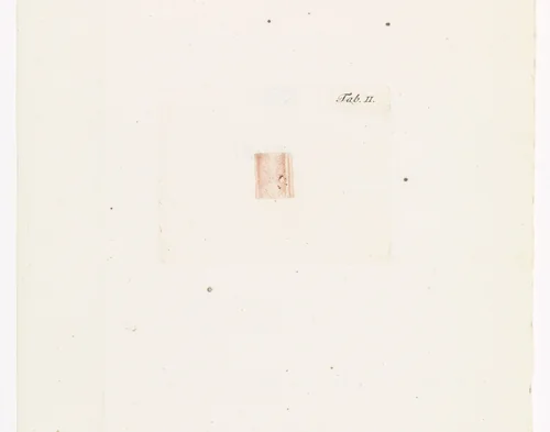 Anatomische afbeelding by Robbert Muys, print, 1785