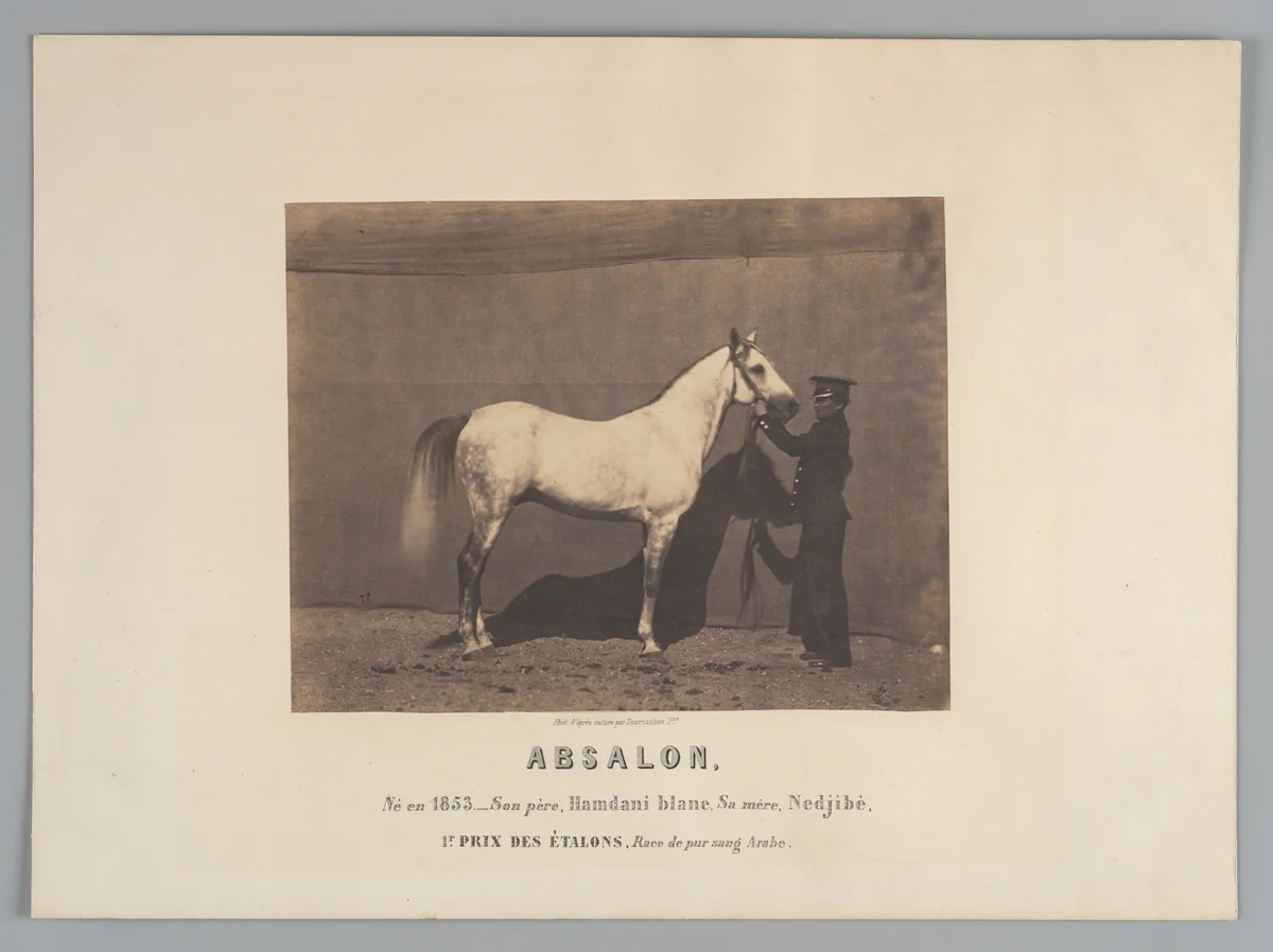 Absalon by Adrien Tournachon, photograph, 1853-1862
