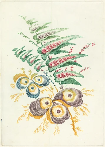 Fantastic Flowers with Oyster-shell Blossoms by Anne Allen; Jean-Baptiste Pillement, print, 1765-1770