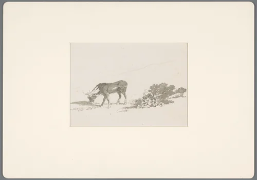 Grazend kalf bij planten by David de Sandoz-Rollin, drawing, 1750-1809