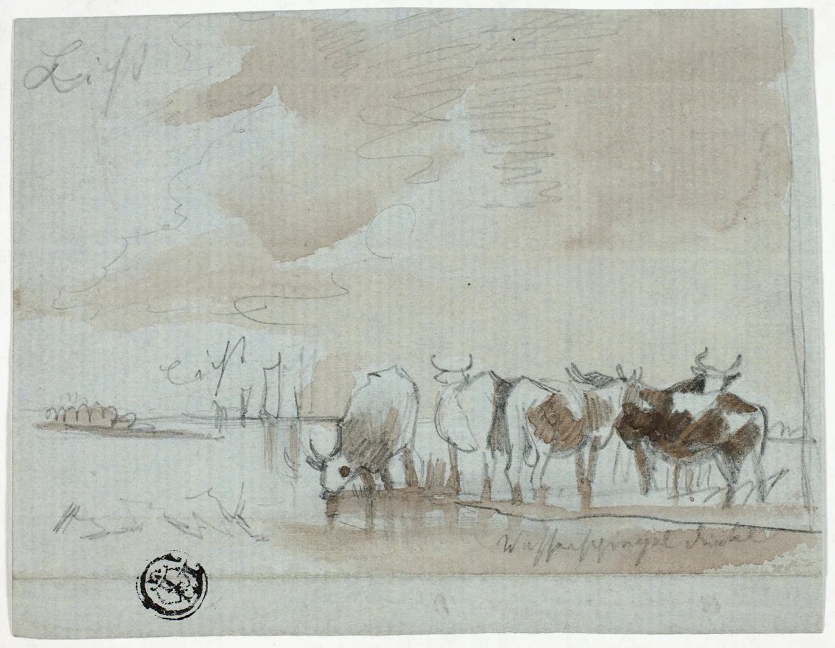 Cattle in Water by Aelbert Cuyp, drawing, 1700-1809