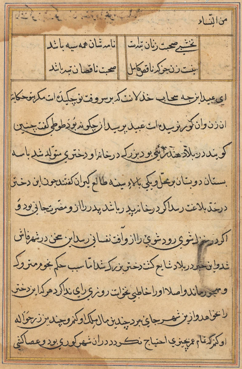 Page from Tales of a Parrot (Tuti-nama): text page by Unknown, painting, 1555-1565