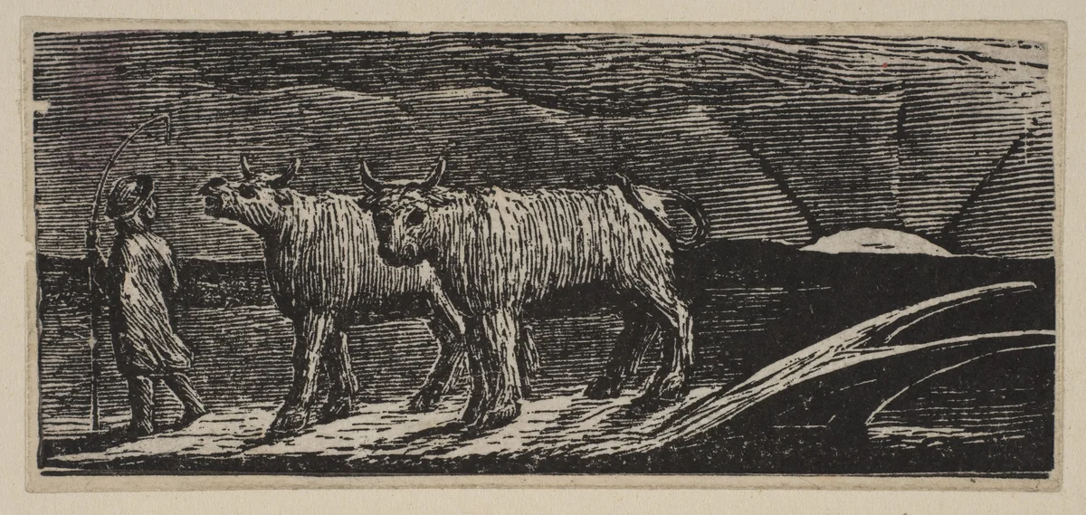 Unyok'd Heifers, Loitering Homeward (Return of the Shepherd), from Thornton's "Pastorals of Virgil" by William Blake, print, 1821