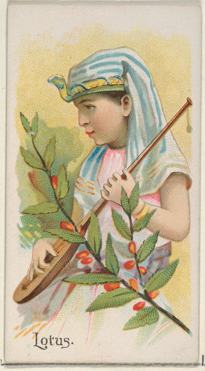 Lotus, from the Fruits series (N12) for Allen & Ginter Cigarettes Brands by Allen & Ginter, print, 1891