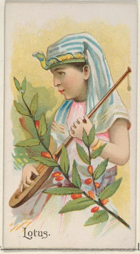 Lotus, from the Fruits series (N12) for Allen & Ginter Cigarettes Brands by Allen & Ginter, print, 1891