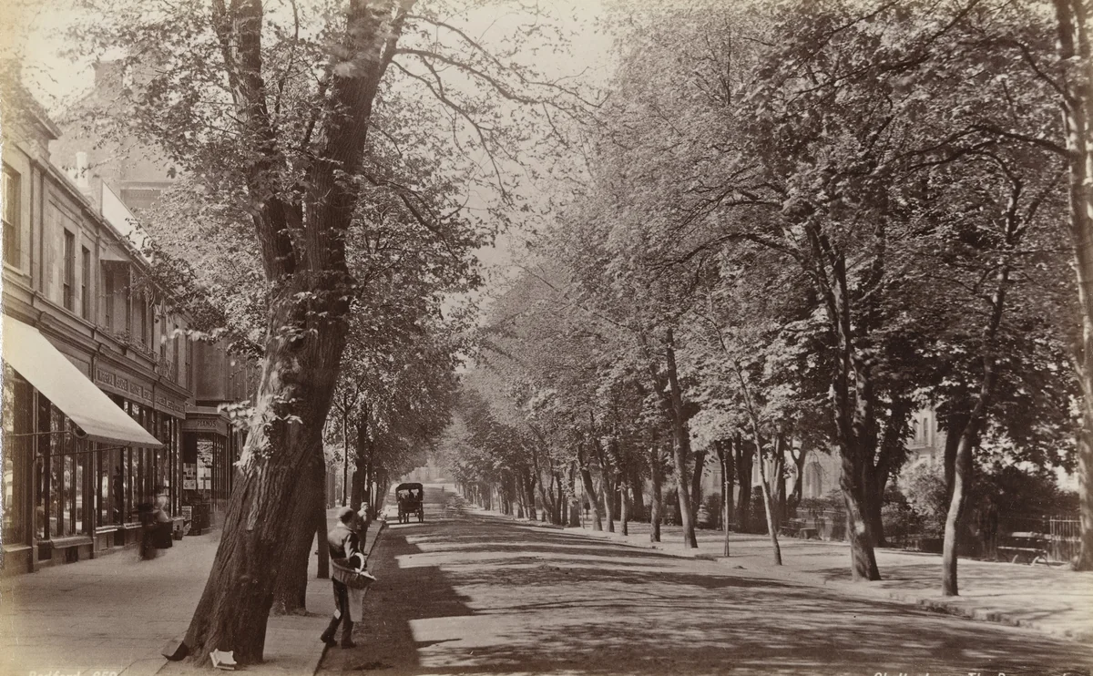 Chettenham, The Promenade (No. 659) by Francis Bedford, photograph, 1860