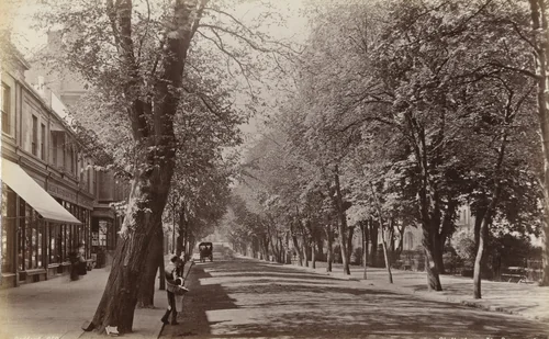Chettenham, The Promenade (No. 659) by Francis Bedford, photograph, 1860