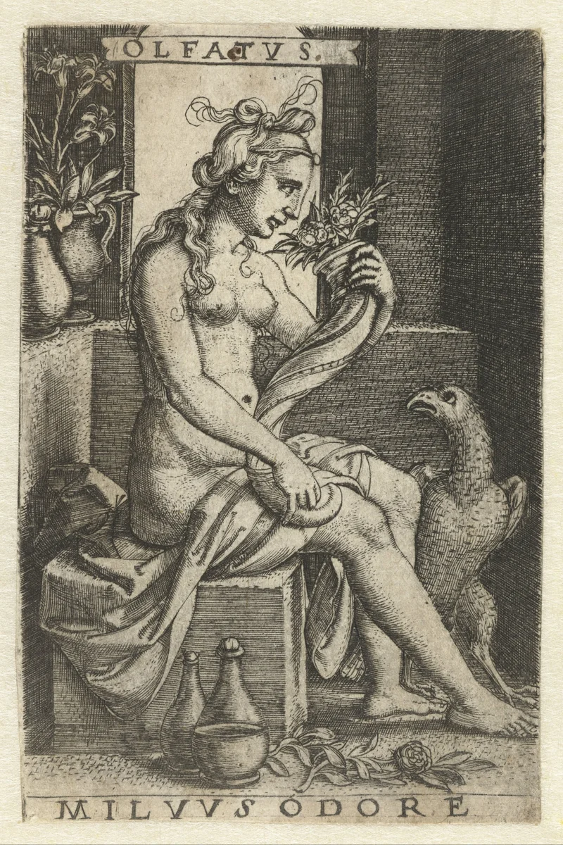 Reuk (Olfactus) by Unknown, print, 1542-1546