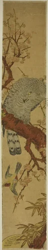 Hawk on Plum Branch Looking Down at Fleeing Bird by Isoda Koryusai, print, 1770-1780