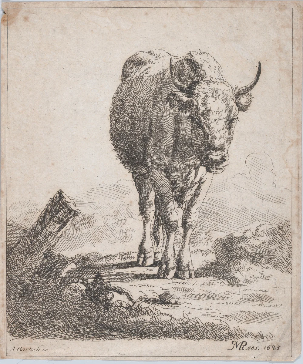A cow, seen from the front by Adam von Bartsch, print, 1805