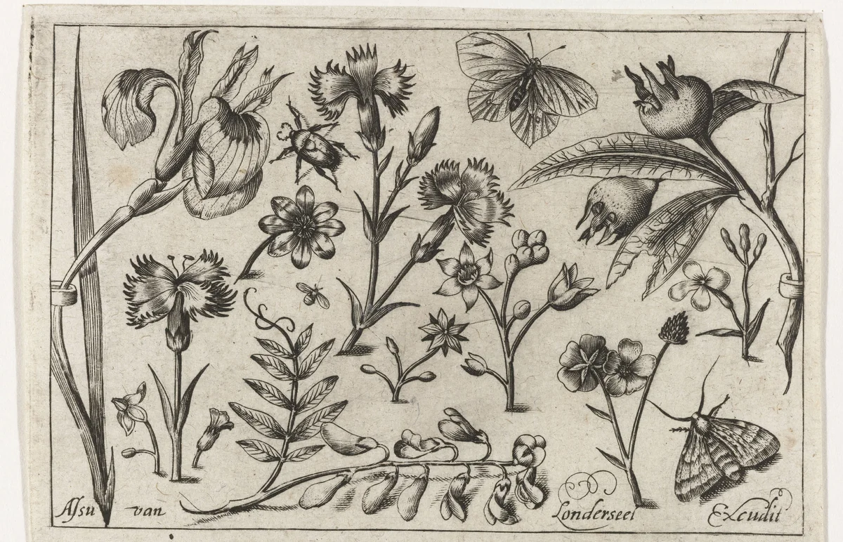 Bloemen en vlinders by Unknown, print, 1594