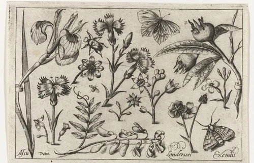 Bloemen en vlinders by Unknown, print, 1594