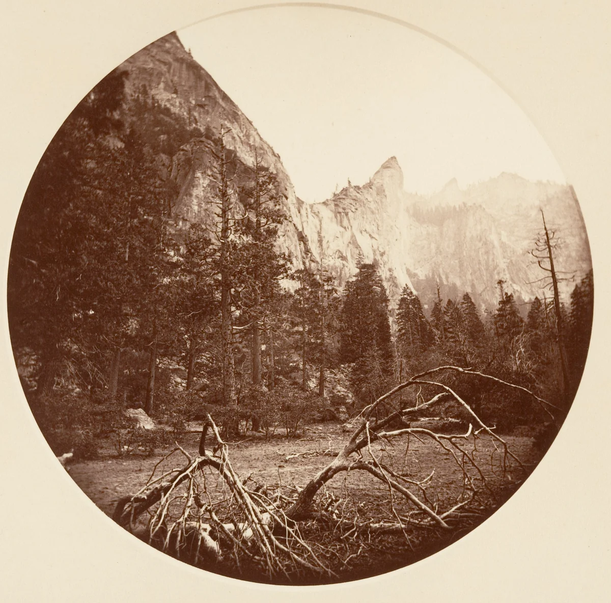 [Yosemite National Park, California] by Carleton E. Watkins, photograph, 1876-1880
