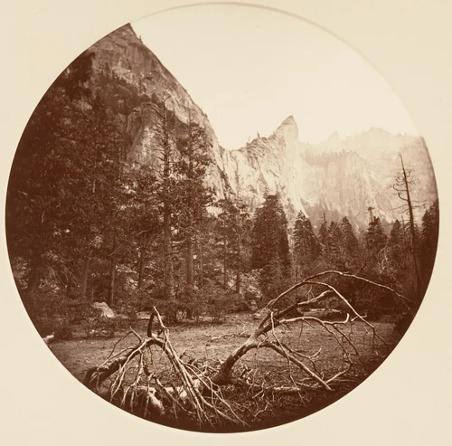 [Yosemite National Park, California] by Carleton E. Watkins, photograph, 1876-1880