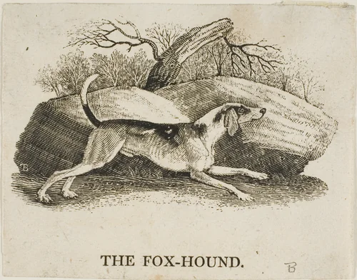 Fox Hound by Thomas Bewick, print, 1773-1828