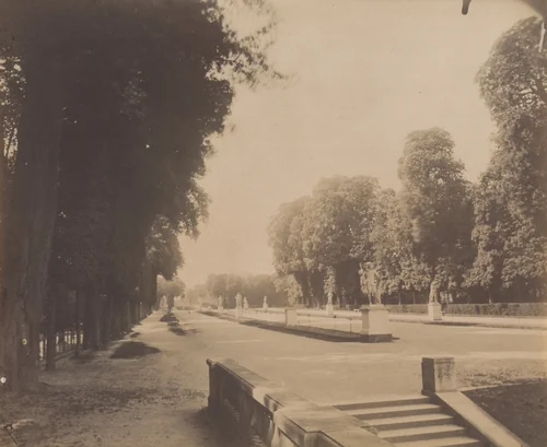Parc de Saint-Cloud by Eugène Atget, photograph, 1915