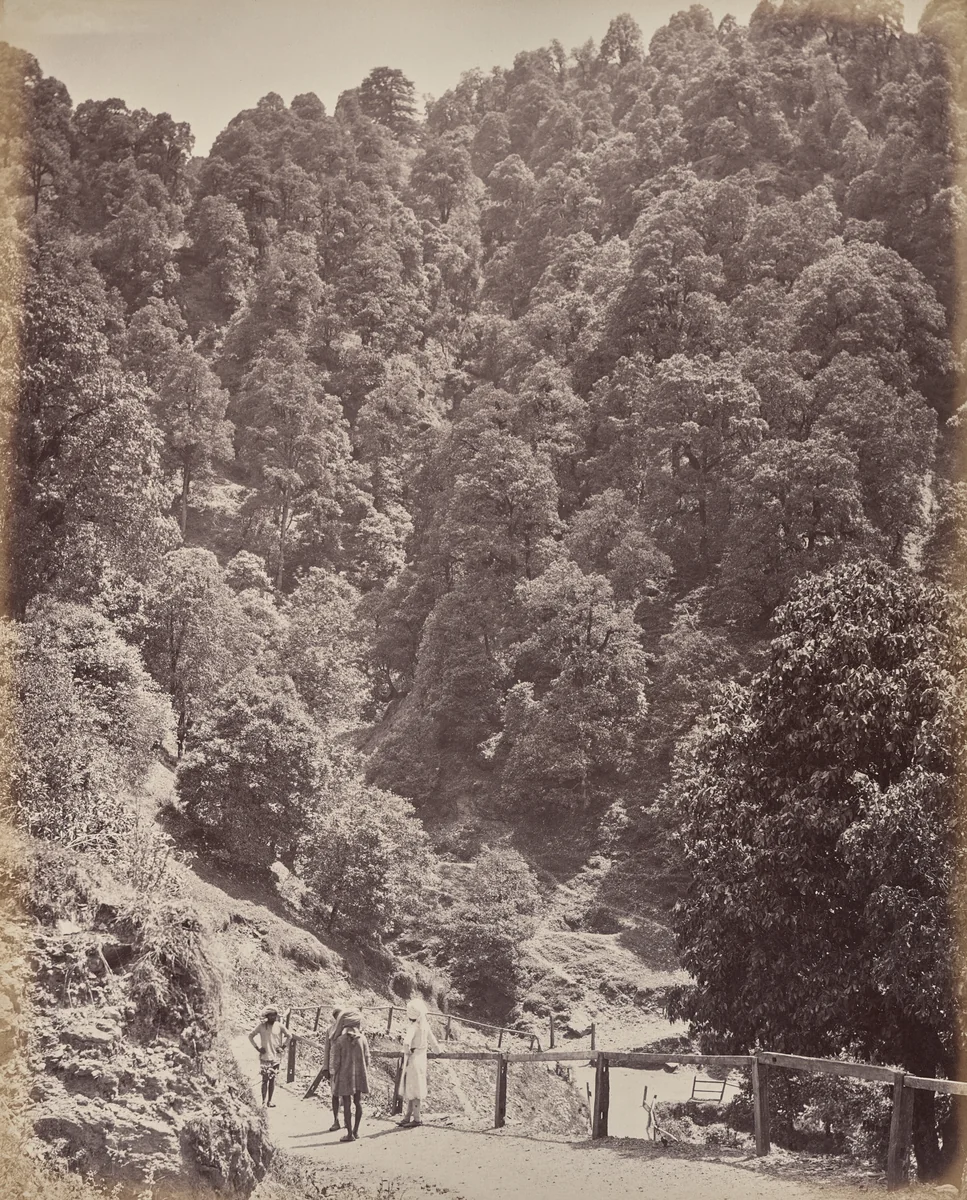 Shimla. View North of Mount Jakko by Samuel Bourne, photograph, 1863-1870