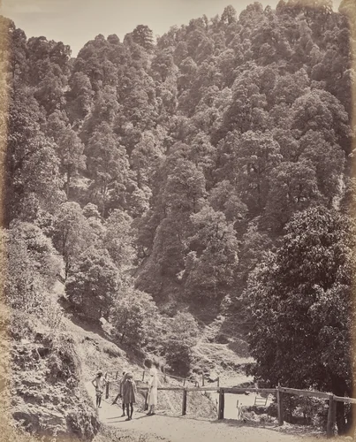 Shimla. View North of Mount Jakko by Samuel Bourne, photograph, 1863-1870