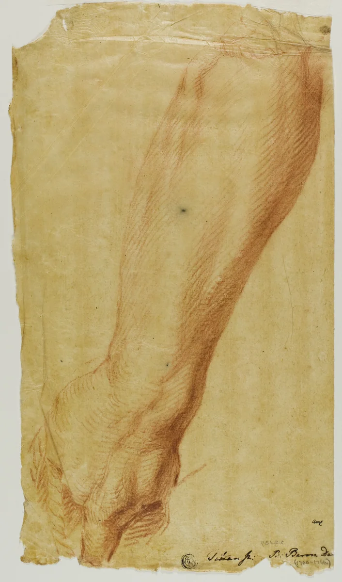 Left Arm of a Hunter by Bernard Baron, drawing, 1716-1762
